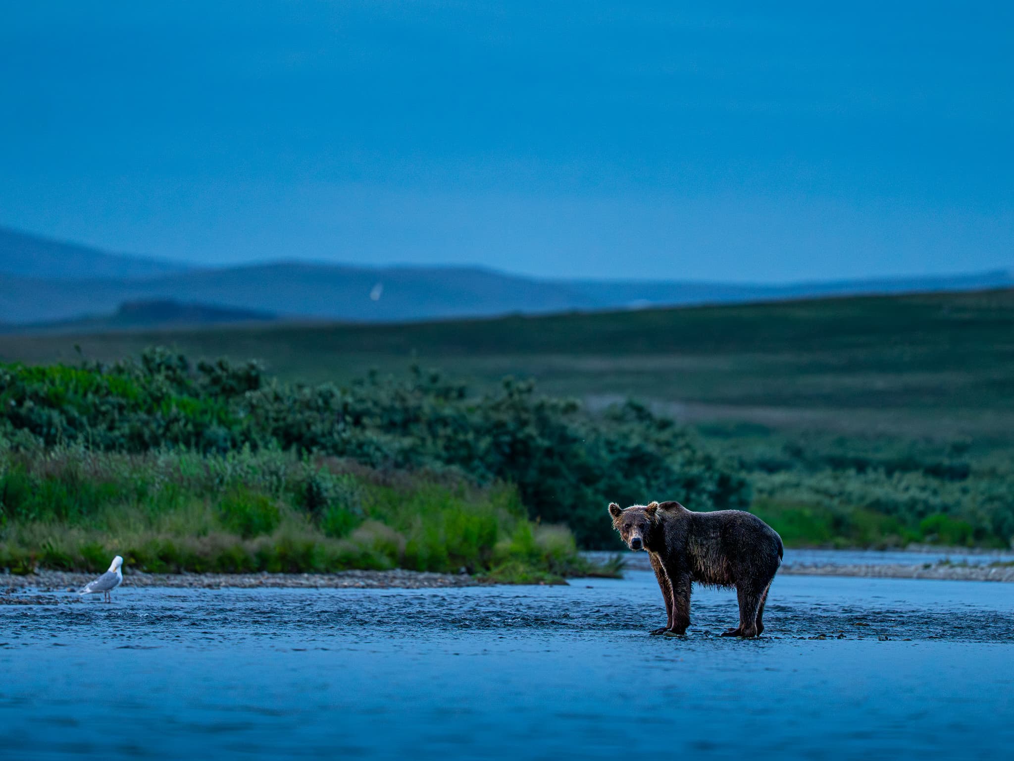 Photo Van-shala — Guided photography expeditions