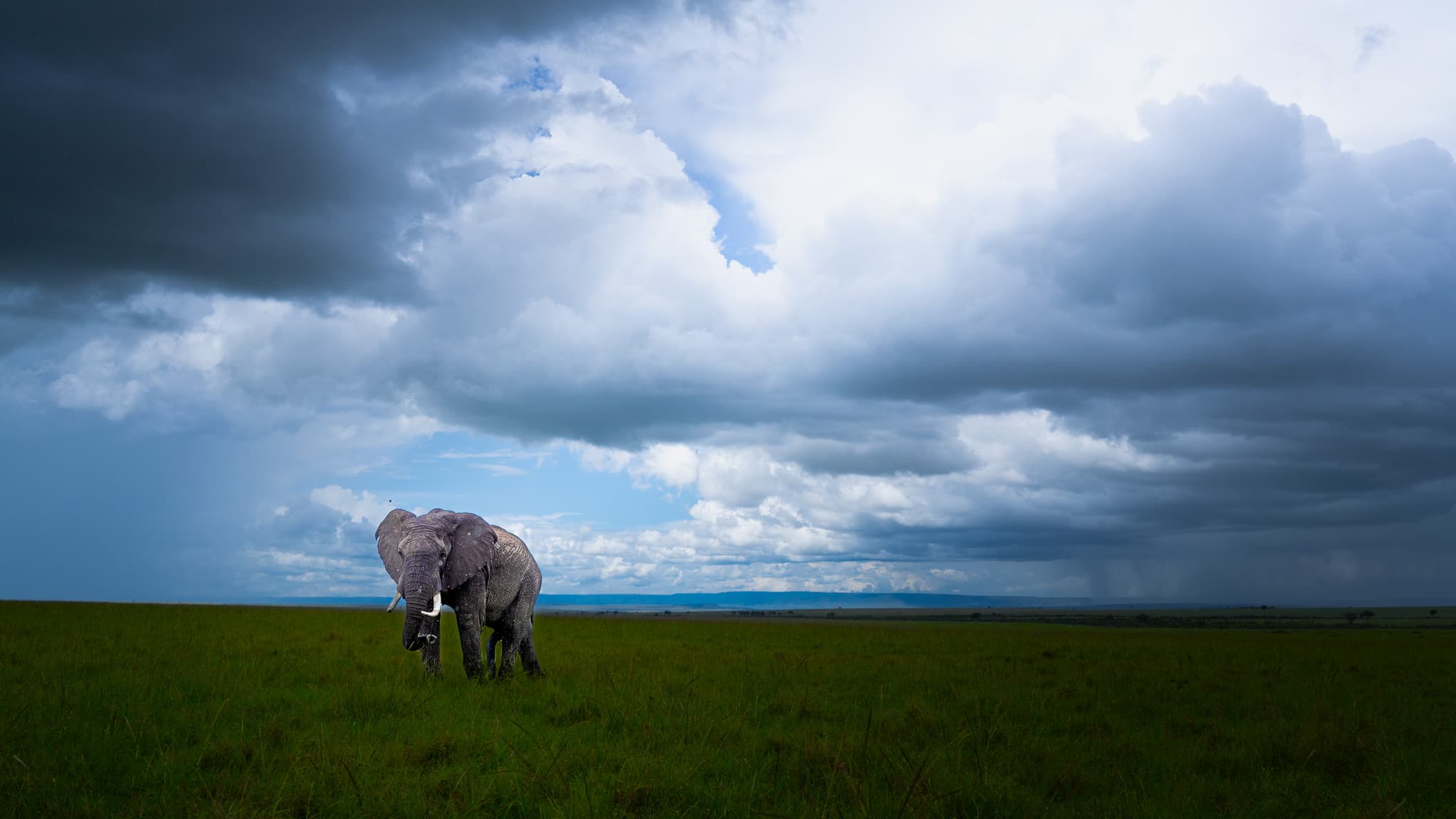 The Jungle Yatra — Wildlife tours for everyone