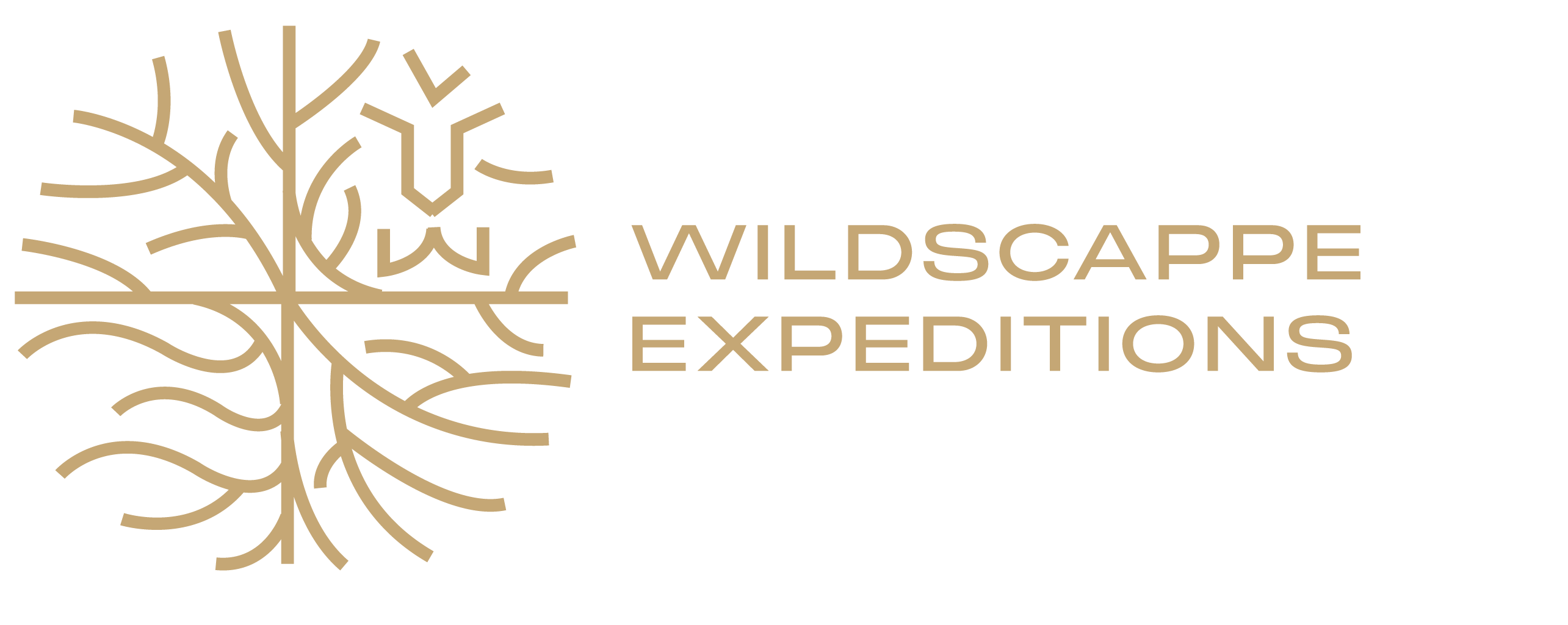 Wildscappe Expeditions